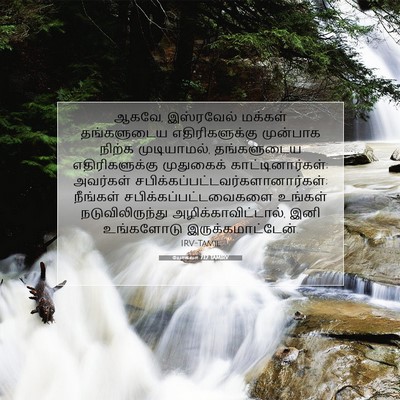 Picture 07 - யோசுவா 7:12 TAMIRV - ஆகவே, இஸ்ரவேல் - Bible Verse Picture