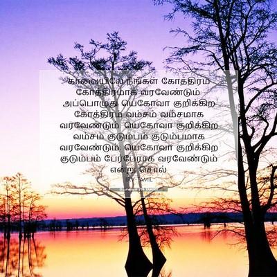 Picture 07 - யோசுவா 7:14 TAMIRV - காலையிலே நீங்கள் - Bible Verse Picture