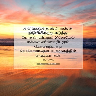 Picture 07 - யோசுவா 7:23 TAMIRV - அவைகளைக் - Bible Verse Picture