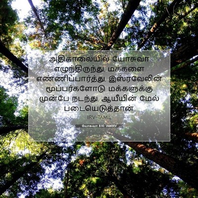 Picture 07 - யோசுவா 8:10 TAMIRV - அதிகாலையில் - Bible Verse Picture