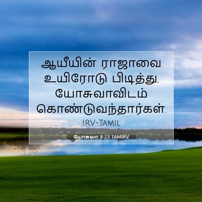 Picture 07 - யோசுவா 8:23 TAMIRV - ஆயீயின் ராஜாவை - Bible Verse Picture
