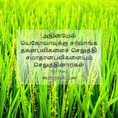 Picture 07 - யோசுவா 8:31 TAMIRV - அதின்மேல் - Bible Verse Picture