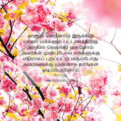 Picture 07 - யோசுவா 8:5 TAMIRV - நானும் என்னோடு - Bible Verse Picture