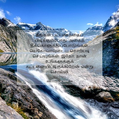 Picture 07 - யோசுவா 8:8 TAMIRV - நீங்கள் - Bible Verse Picture