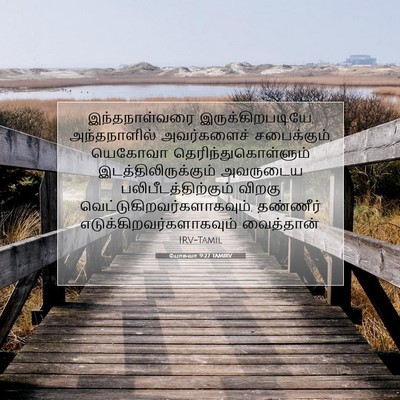 Picture 07 - யோசுவா 9:27 TAMIRV - இந்தநாள்வரை - Bible Verse Picture