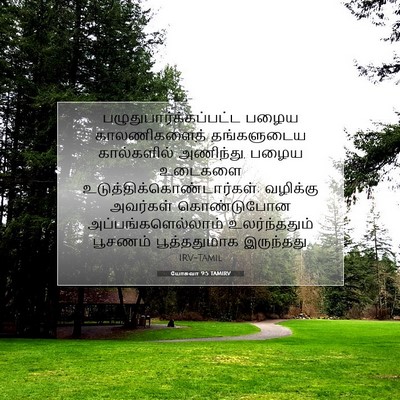 Picture 07 - யோசுவா 9:5 TAMIRV -  - Bible Verse Picture