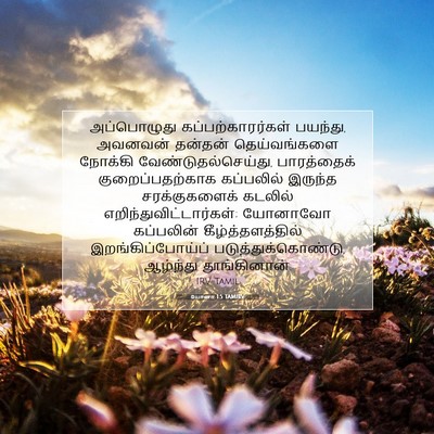 Picture 07 - யோனா 1:5 TAMIRV - அப்பொழுது - Bible Verse Picture