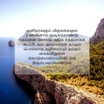 Picture 07 - யோனா 3:8 TAMIRV - மனிதர்களும் - Bible Verse Picture