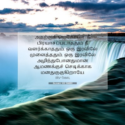 Picture 07 - யோனா 4:10 TAMIRV - அதற்குக் யெகோவா: - Bible Verse Picture