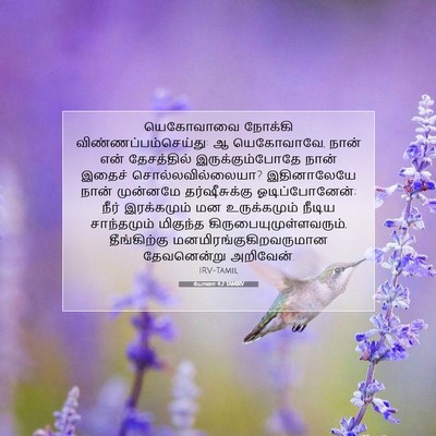 Picture 07 - யோனா 4:2 TAMIRV - யெகோவாவை நோக்கி - Bible Verse Picture