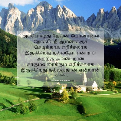 Picture 07 - யோனா 4:9 TAMIRV - அப்பொழுது தேவன் - Bible Verse Picture