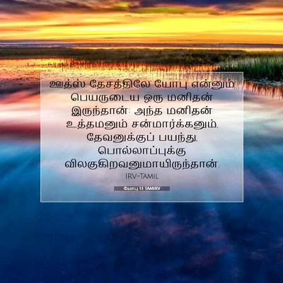 Picture 07 - யோபு 1:1 TAMIRV - ஊத்ஸ் தேசத்திலே - Bible Verse Picture