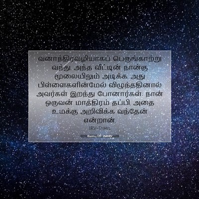 Picture 07 - யோபு 1:19 TAMIRV - வனாந்திரவழியாகப் - Bible Verse Picture