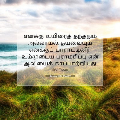 Picture 07 - யோபு 10:12 TAMIRV - எனக்கு உயிரைத் - Bible Verse Picture