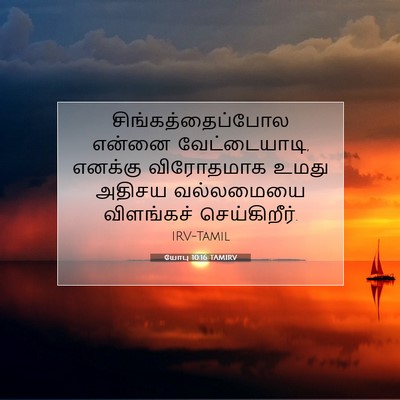 Picture 07 - யோபு 10:16 TAMIRV - சிங்கத்தைப்போல - Bible Verse Picture