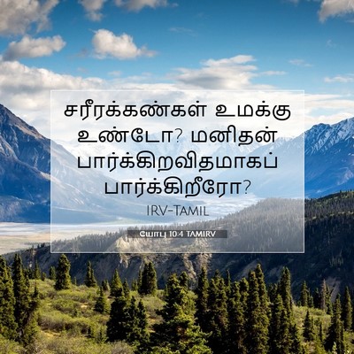 Picture 07 - யோபு 10:4 TAMIRV - சரீரக்கண்கள் - Bible Verse Picture