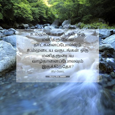 Picture 07 - யோபு 10:6 TAMIRV - உம்முடைய நாட்கள் - Bible Verse Picture