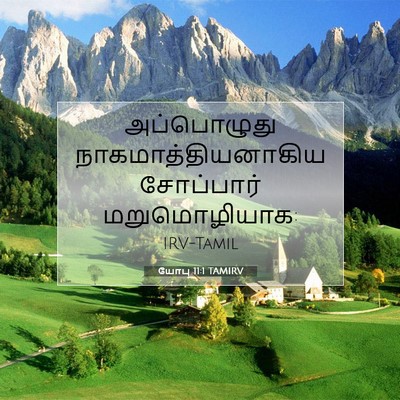 Picture 07 - யோபு 11:1 TAMIRV - அப்பொழுது - Bible Verse Picture