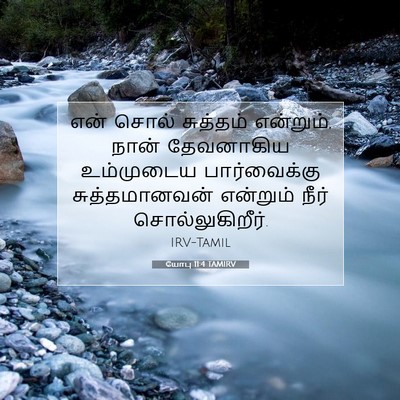 Picture 07 - யோபு 11:4 TAMIRV - என் சொல் சுத்தம் - Bible Verse Picture