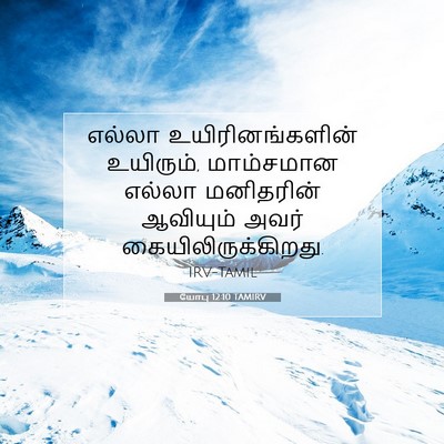 Picture 07 - யோபு 12:10 TAMIRV - எல்லா - Bible Verse Picture