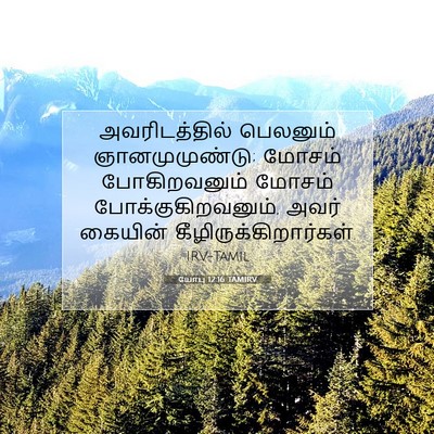 Picture 07 - யோபு 12:16 TAMIRV - அவரிடத்தில் - Bible Verse Picture