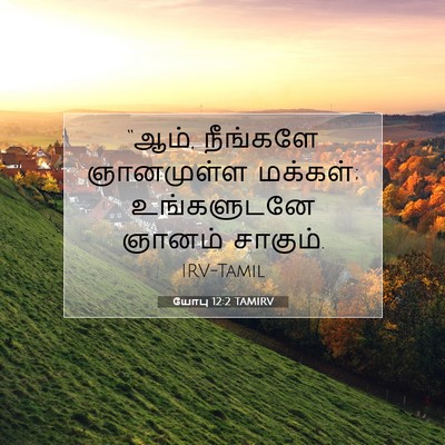 Picture 07 - யோபு 12:2 TAMIRV - “ஆம், நீங்களே - Bible Verse Picture