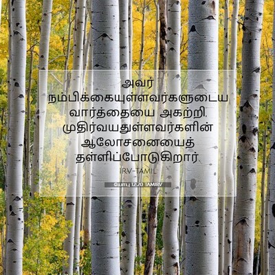 Picture 07 - யோபு 12:20 TAMIRV - அவர் - Bible Verse Picture