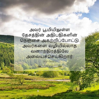 Picture 07 - யோபு 12:24 TAMIRV - அவர் பூமியிலுள்ள - Bible Verse Picture
