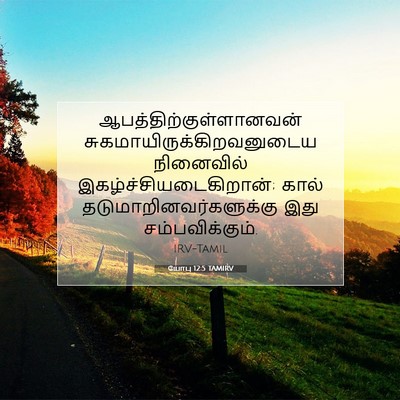 Picture 07 - யோபு 12:5 TAMIRV -  - Bible Verse Picture