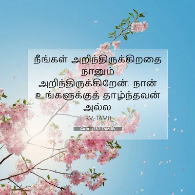 Picture 07 - யோபு 13:2 TAMIRV - நீங்கள் - Bible Verse Picture