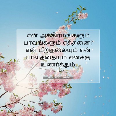 Picture 07 - யோபு 13:23 TAMIRV - என் - Bible Verse Picture