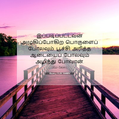 Picture 07 - யோபு 13:28 TAMIRV - இப்படிப்பட்டவன் - Bible Verse Picture