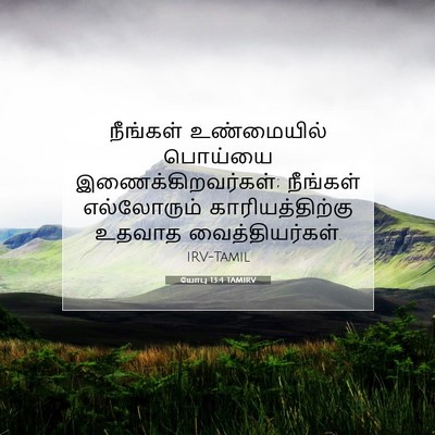 Picture 07 - யோபு 13:4 TAMIRV - நீங்கள் உண்மையில் - Bible Verse Picture