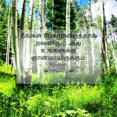 Picture 07 - யோபு 13:5 TAMIRV - நீங்கள் - Bible Verse Picture