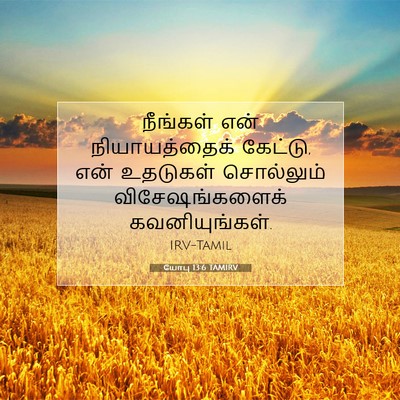 Picture 07 - யோபு 13:6 TAMIRV - நீங்கள் என் - Bible Verse Picture