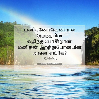 Picture 07 - யோபு 14:10 TAMIRV - மனிதனோவென்றால் - Bible Verse Picture