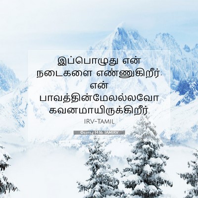 Picture 07 - யோபு 14:16 TAMIRV - இப்பொழுது என் - Bible Verse Picture