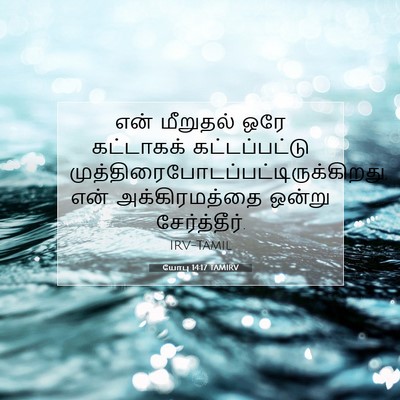 Picture 07 - யோபு 14:17 TAMIRV - என் மீறுதல் ஒரே - Bible Verse Picture