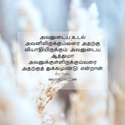 Picture 07 - யோபு 14:22 TAMIRV - அவனுடைய உடல் - Bible Verse Picture