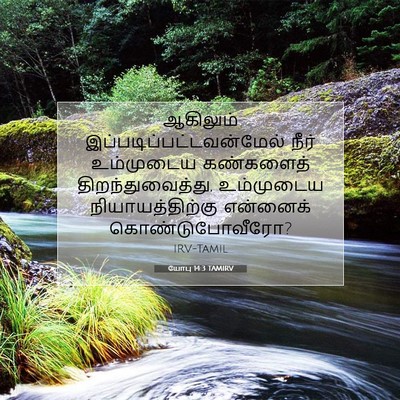 Picture 07 - யோபு 14:3 TAMIRV - ஆகிலும் - Bible Verse Picture