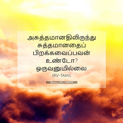 Picture 07 - யோபு 14:4 TAMIRV -  - Bible Verse Picture