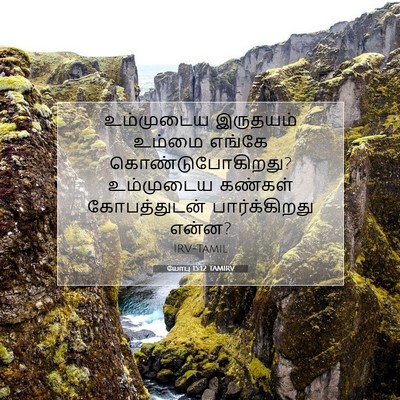 Picture 07 - யோபு 15:12 TAMIRV - உம்முடைய இருதயம் - Bible Verse Picture
