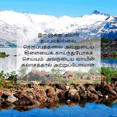 Picture 07 - யோபு 15:30 TAMIRV - இருளுக்கு அவன் - Bible Verse Picture