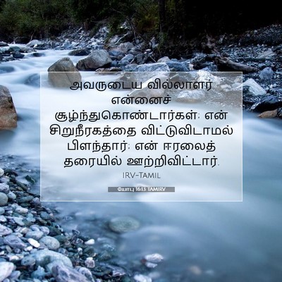 Picture 07 - யோபு 16:13 TAMIRV - அவருடைய வில்லாளர் - Bible Verse Picture