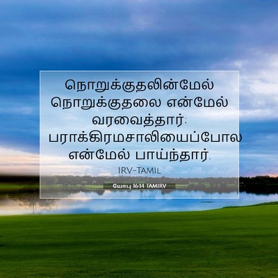 Picture 07 - யோபு 16:14 TAMIRV -  - Bible Verse Picture