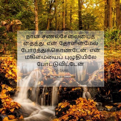 Picture 07 - யோபு 16:15 TAMIRV - நான் சணல்சேலையைத் - Bible Verse Picture