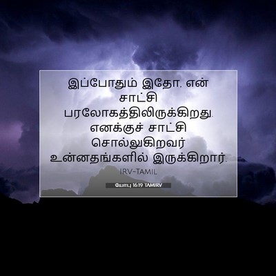 Picture 07 - யோபு 16:19 TAMIRV - இப்போதும் இதோ, என் - Bible Verse Picture