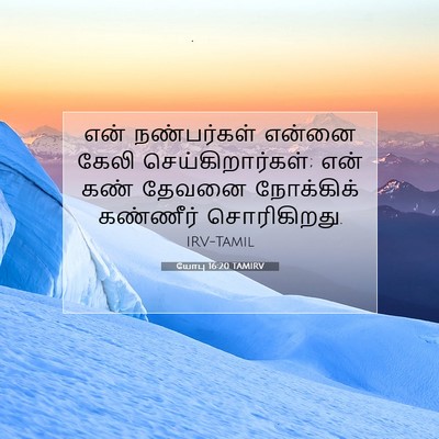 Picture 07 - யோபு 16:20 TAMIRV - என் நண்பர்கள் - Bible Verse Picture