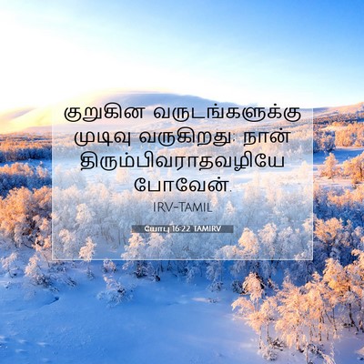 Picture 07 - யோபு 16:22 TAMIRV - குறுகின - Bible Verse Picture