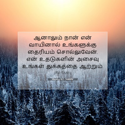 Picture 07 - யோபு 16:5 TAMIRV - ஆனாலும் நான் என் - Bible Verse Picture